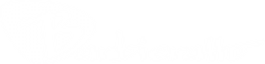 Logo da Barbieratto agência de marketing e design que gerência a VERITI